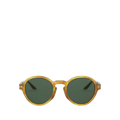 Giorgio Armani Ar8130 Yellow Havana Male Sunglasses - Atterley