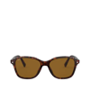 Persol Po3244s Havana Sunglasses In Braun