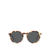 PERSOL UNISEX PERSOL PO3281S TABACCO VIRGINI