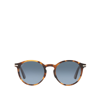 PERSOL UNISEX PERSOL PO3171S HONEY TORTOISE UNISEX SUNGLASSES