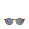 Persol Po3171s