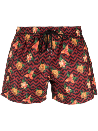 Antonella Rizza Floral-print Swim Shorts In Red