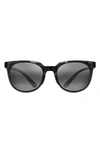Maui Jim Wailua 49mm Small Polarized Round Sunglasses In Grey