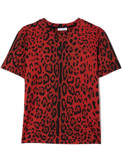 Dolce & Gabbana Kids' Dg Leopard Print T-shirt In Red