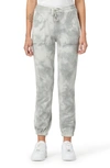 Hudson Tie Dye Cotton French Terry Joggers In Monument Ice Dye