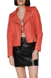 Walter Baker Liz Leather Crop Moto Jacket In Coral