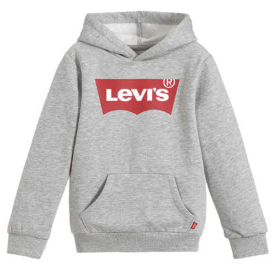 Levi's Kids' Boys Grey Cotton Logo Hoodie