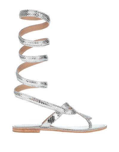 Cb Fusion Toe Strap Sandals In Silver