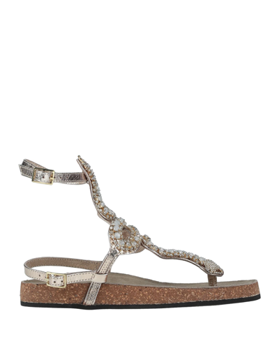 Strategia Toe Strap Sandals In Gold