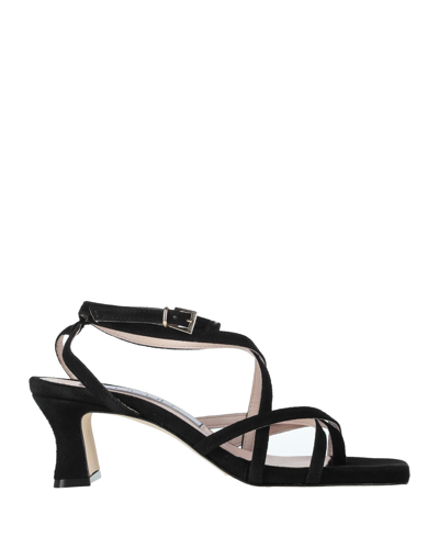 Ncub Sandals In Black