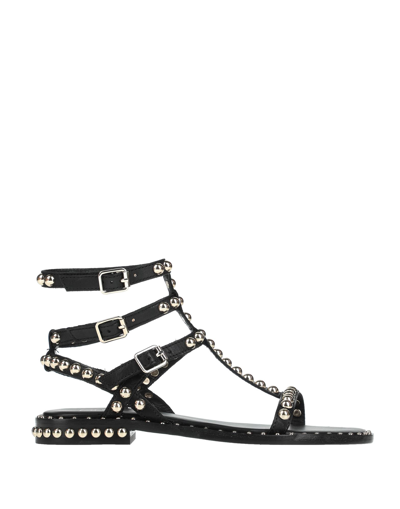 Ash Sandals In Black
