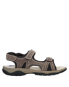 Stonefly Sandals In Khaki