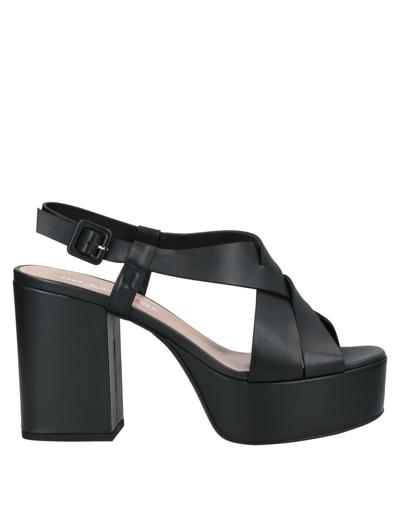 Sergio Cimadamore Sandals In Black
