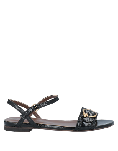 Fiorifrancesi Sandals In Black