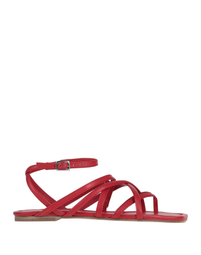 Vic Matie Toe Strap Sandals In Red