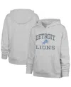 47 Brand Women's Gray Detroit Lions Clarity Naomi Pullover Hoodie In Gray