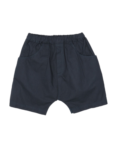 1+ In The Family Kids' 1 + In The Family Newborn Boy Shorts & Bermuda Shorts Midnight Blue Size 3 Cotton