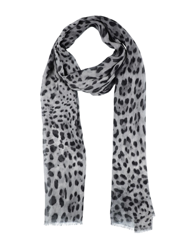 Dolce & Gabbana Scarves In Grey