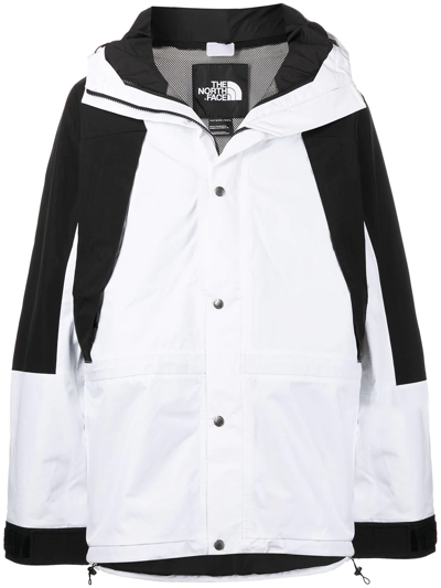 The North Face 1994 Retro Mountain Light Futurelight Jacket In White In Nocolor