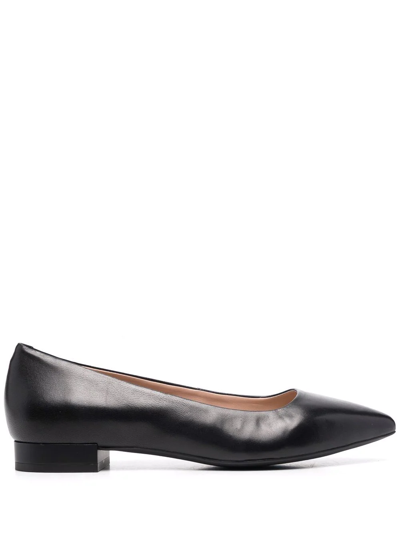 Geox Charyssa Pointed Ballerina Shoes In Black