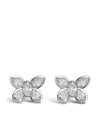 PRAGNELL 18KT WHITE GOLD BUTTERFLY DIAMOND STUD EARRINGS