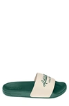 Adidas Originals Adilette Shower Slide In Wonder White/collegiate Green