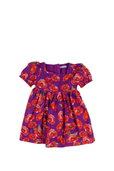 Dolce & Gabbana Babies' Girls Poppy Print Dress Set In Multicolor
