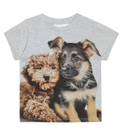 Molo Grey T-shirt For Baby Kids With Dogs In Multicolor