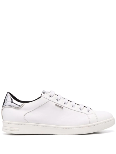 Geox Pontoise Low-top Sneakers In White