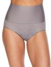 Maidenform Tame Your Tummy Tailored Brief In Silver Swing Lace