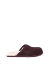 Ugg Scuff Slipper In Marrone