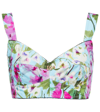 Dolce & Gabbana Floral-print Cotton-blend Poplin Bustier Top In Campanule Fdo.azzurr