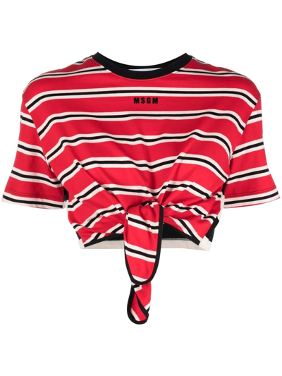 Msgm Stripe-print T-shirt In 0
