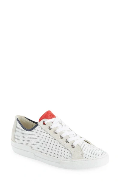 Paul Green Levi Perforated Low Top Trainer In White Ice Combo