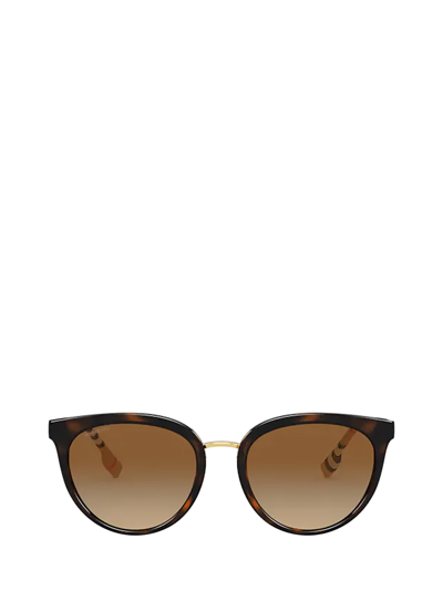 Burberry Be4316 Dark Havana Female Sunglasses In Brown