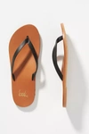 BEEK BEEK SEABIRD SLIDE SANDALS