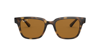 Ray Ban Ray-ban Unisex Polarized Square Sunglasses, 51mm In Brown