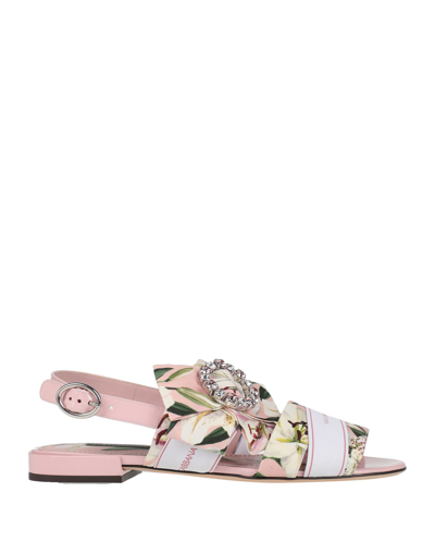 Dolce & Gabbana Sandals In Pink