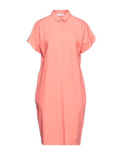 Accuà By Psr Midi Dresses In Pink