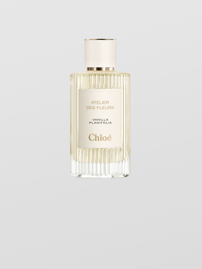Chloé Atelier Des Fleurs Vanilla In Transparent
