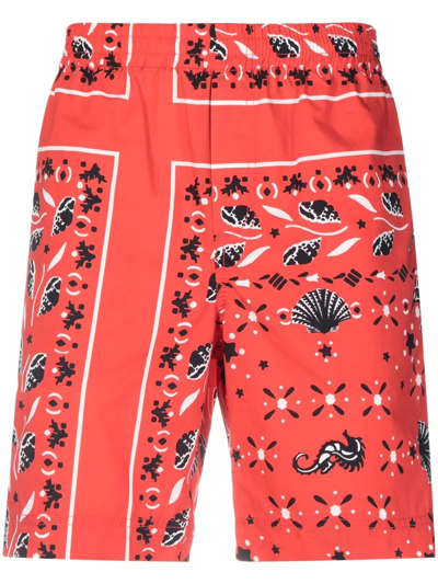 Msgm Bandana-print Shorts In Red