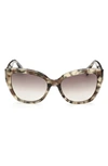 Max Mara 56mm Butterfly Sunglasses In Dark Havana