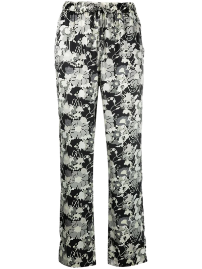 Gold Hawk Floral-print Trousers In Black
