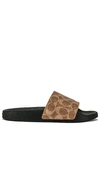 Coach Women's Signature Pvc Pool Slides In Tan