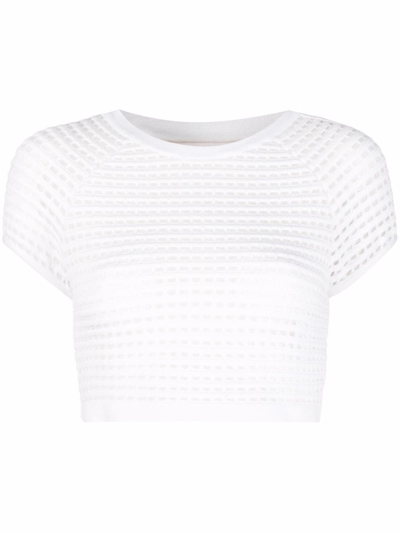 Genny Open-knit Cropped Top In White