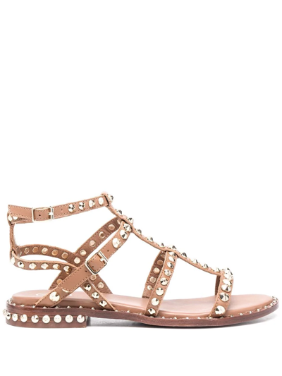 Ash Studded Ankle-length Sandals In Brown
