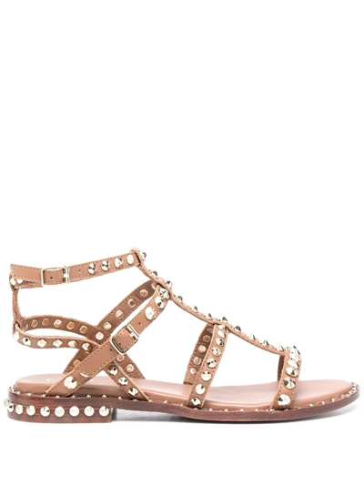 Ash Precious Leather Sandals In Brown