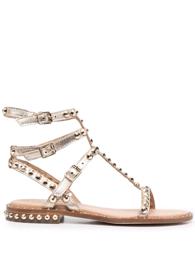 Ash Play Studded Flat Sandals In Bronze