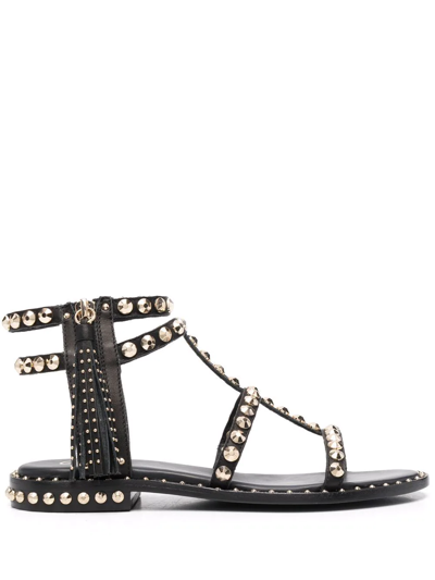 Ash Petra Stud-embellished Sandals In Black