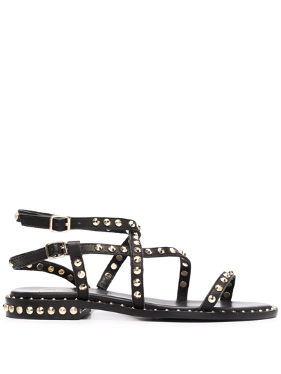 Ash Petra Stud-embellished Sandals In Black
